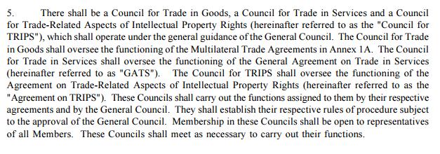 Specialized Councils - duties Council for Trade in Goods