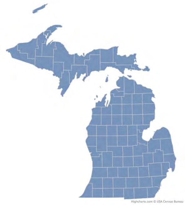 STORIES OF OUR STATE Video Views by Region Detroit: 39.1% Grand Rapids-Kalamazoo-B. Crk: 31.9% Flint-Saginaw-Bay City: 11.2% Lansing: 6.