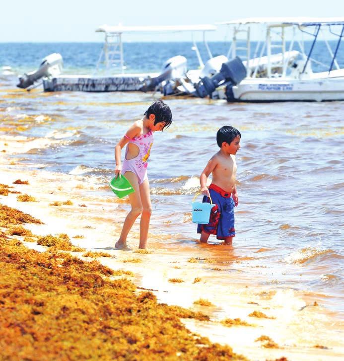 ENVIRONMENT 13 Mexico to construct seaweed barrier at Mayan Riviera to protect its beaches Glaciers are a vital source of freshwater.