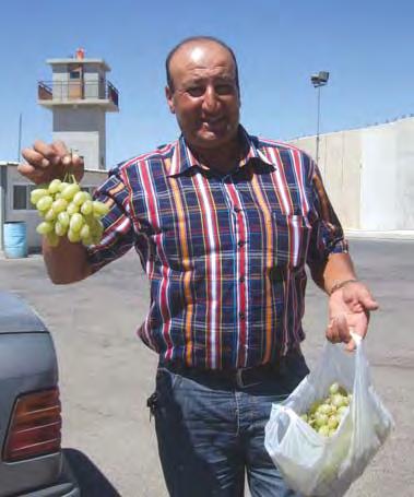 NATION 13 Forty-year-old Ali Abdullah Akbar is an ordinary Lebanese who runs a small business and earns a living selling olives, tobacco, and grapes.