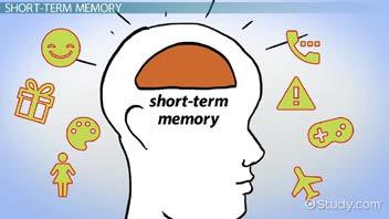 MANIPULATING SHORT TERM MEMORY (STM)-BASED DISCOURSE UNDERSTANDING First of all, discourse in general, and manipulative discourse in particular, involve processing information in short term memory