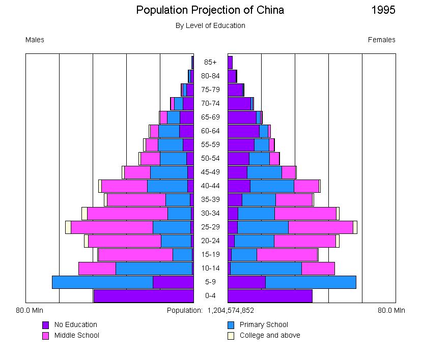 3.2.2 The age group 5-9 in 1995 Through the population pyramid below, we can see that the size of the cohort aged 5-9 is much larger than either the 10-14 or 0-4 group.