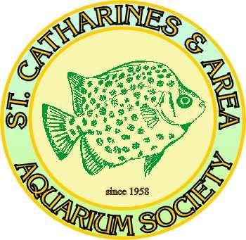 Official publication of The St. Catharines & Area Aquarium Society Since 1958 Inside this issue Club Notes, Fish of the Month, & Upcoming Event..... 2 Joe s Presidential Message.