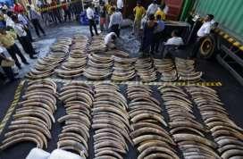 Case.1Elephant Tusks Detected in Sri Lanka Detected Date-12.05.2012 Quantity 359 nos. -1528.9 Kg. Value- US$ 2,752,020 Transit from Kenya-Dubai via. Col.