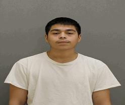 Address: Elmwood Ave Berwyn, IL Date of Charge: Tuesday, February 26, 2019 Court Date: Thursday, April 4, 2019 Offender Name: Alaniz,