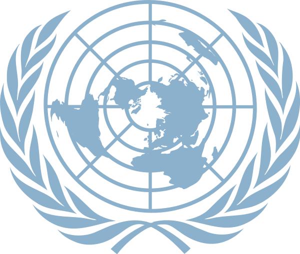 The United Nations (UN) The UN is the most important international global organization It was established on 24 October 1945 to promote peace and