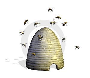 BEEHIVE AREA OF