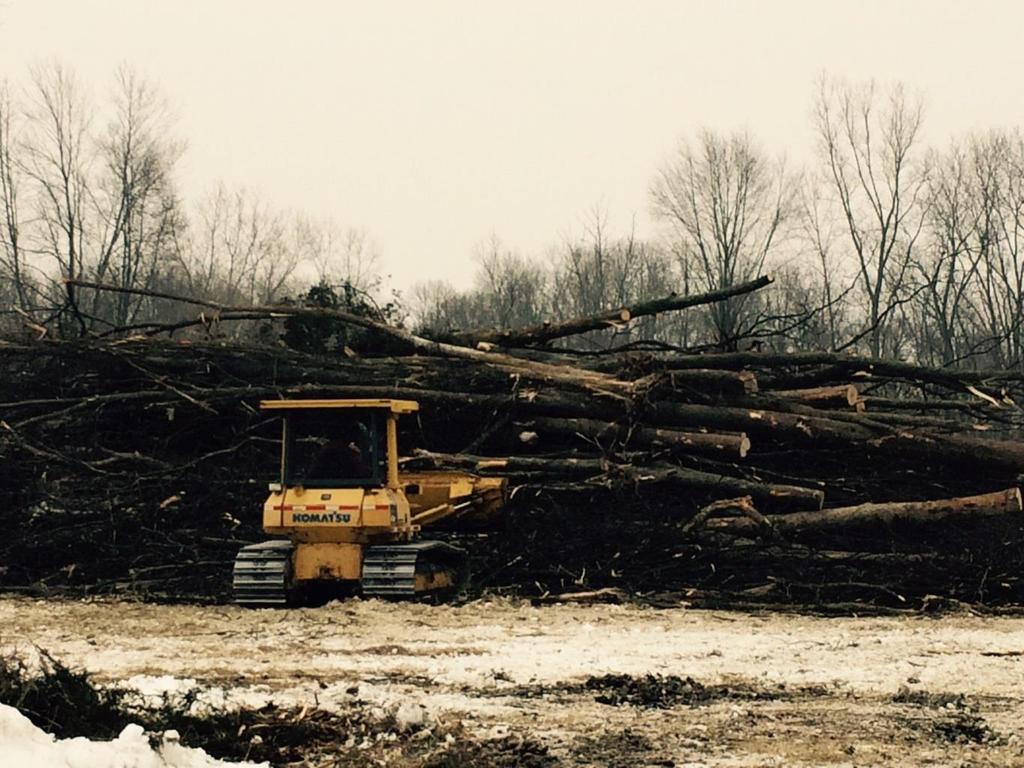 in progress Tree clearing and grubbing is underway Bid specs for landfill off site relocation