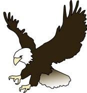 E is for Eagle. The bald eagle can only be found in North America.