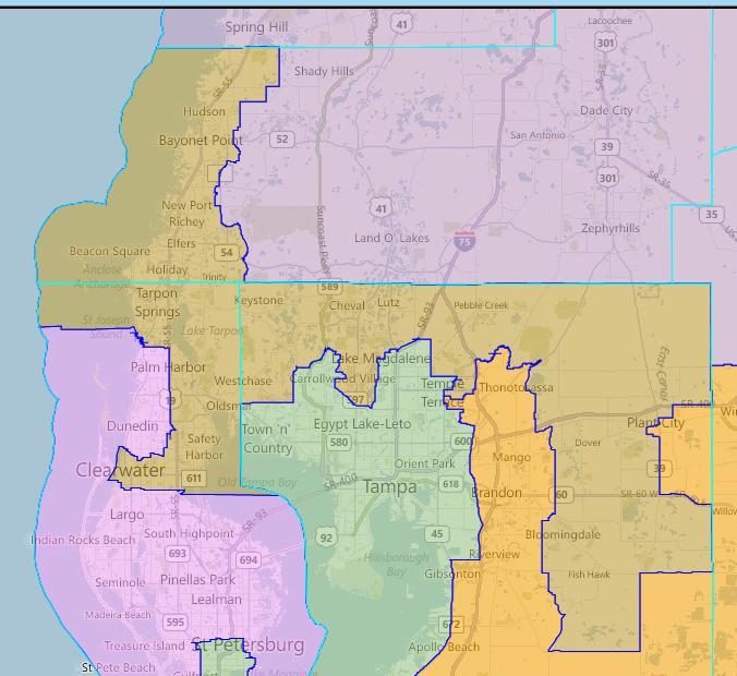 Cent-10: Move Congressional District 9 out of Hillsborough County and More Into East Pasco County Description: Move Bilirakis out of Hillsborough and into East Pasco.