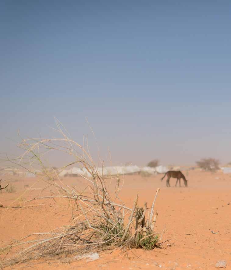 INTRODUCTION Since the start of the conflict in Mali in January 2012, hundreds of thousands of people have fled to other locations inside the country or to neighbouring countries.