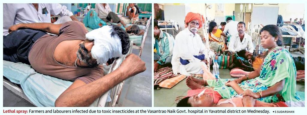 Page-7- Pesticides cause farmer deaths, illnesses in Yavatmal- Maharashtra 472 farmers hospitalised for same infection in the last
