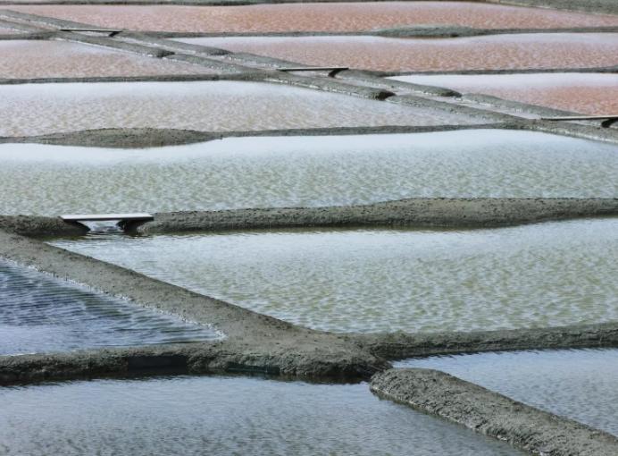 Salt pans are an example how one use (of making salt) has trumped the other (of environmental balance). Salt pans as wetlands have been omitted from the new Rules.