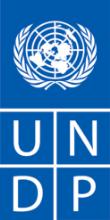 REQUEST FOR QUOTATION (RFQ) (Goods) UNDP Egypt DATE: November 15, 2018 REFERENCE: UNODC/Nov/02 Dear Sir / Madam: We kindly request you to submit your quotation for providing the necessary supplies