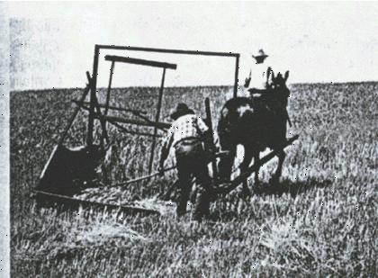 Postwar changes in farm and city life Mechanization (e.g., the reaper) had reduced farm labor needs and increased production.