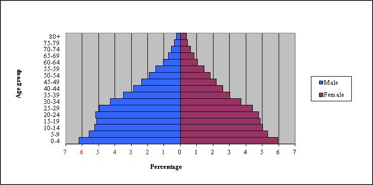 Figure VII. Population pyramid, Arab region (2010) Source: ESCWA, based on the Population Division of UN-DESA, 2012.