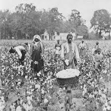 ECONOMY OF THE SOUTH Many forced to sharecrop Contract with cotton plantation owner (often former