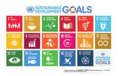 sustainable development goals The UN Sustainable Development Goals (SDGs) Group, chaired by UNESCO and supported by the C/ C-O ce, works to support the Government of Jordan in the implementation of