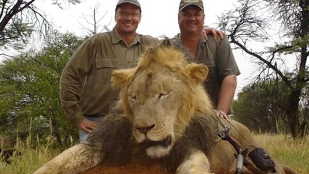 *- July 2015, when Cecil, a 13-year-old black-maned male lion The unfortunate lion happened to be a study animal