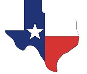 LEP Texas TEXAS Total Percent Population 5 years and over 24,985,749 (X) Speak only English 16,192,095 64.8% Speak a language other than English 8,793,654 35.2% Spanish 7,373,797 29.