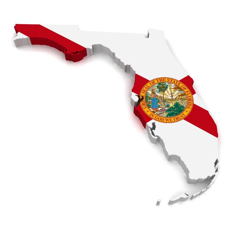 LEP Florida FLORIDA Total Percent Population 5 years and over 18,840,238 (X) Speak only English 13,512,487 71.7% Speak a language other than English 5,327,751 28.3% Spanish 3,936,129 20.