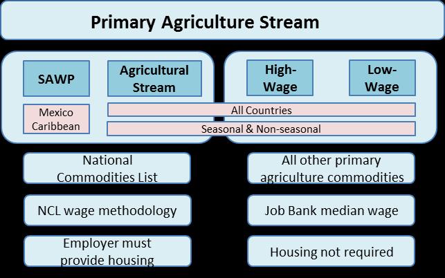 The current structure and basic requirements of the Primary Agriculture Stream: Why Review the Primary Agriculture Stream?