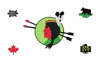 About First Nations: - Formerly they were called Indians, but today, the term First Nations is politically correct.