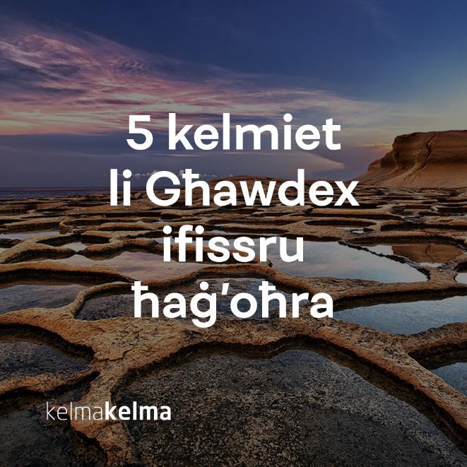 Fuq fomm l-għawdxin hemm kliem li Malta ma jingħadx bħal trampi, bankunċini u oħrajn. Hemm imbagħad kliem li jingħad fiż-żewġ gżejjer, iżda b tifsira differenti.
