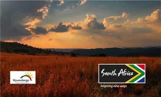 International brand application International example Collaboration using SA s identity Collaboration is allowed to provide province/city visibility Copy used in the advert can incorporate a