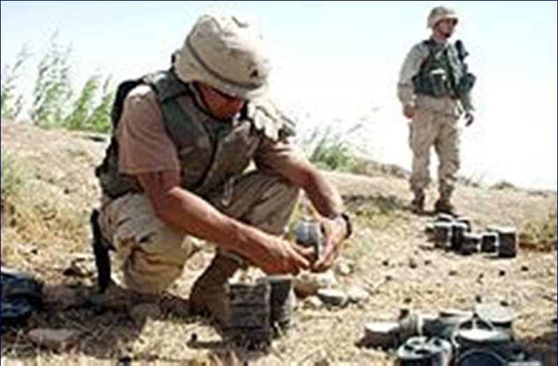 The Ottawa Convention of 1997 on the ban of antipersonnel land mines Article6. International cooperation and assistance 1.