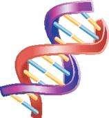 And, yes, DNA cases Things to look out for in potential DNA cases: Untested DNA evidence.