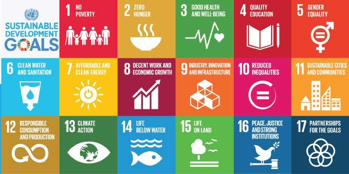Sustainable Development Goals(SDGs)