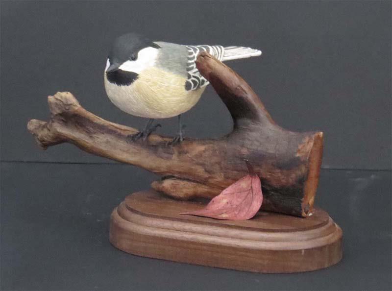 January, 2017 Page 5 of 7 RWWC Club Happenings Carve a Chickadee with Power Emile Gaudet is offering to teach a Power Carving Class this winter. The class will cover 3 weekends.
