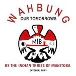 Indian Response Citizen s Plus Indian Association of Alberta