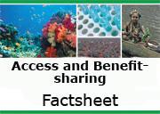 Sources of useful information Access and