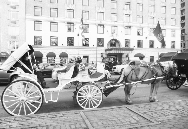 1858 and Mr. Malone felt it was a shame to replace such a long tradition with the Mayor s Electric Cars that have only been developed in the last 18 months.