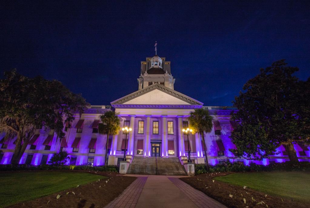 1 of 5 Report from Tallahassee FSGA March 29, 2019 Week 4 of 2019 Legislative Session- March 25-29, 2019 FSGA Rallies in Tally FSGA stormed Tallahassee during our first annual RALLY IN TALLY on March