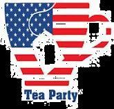 Some observations All but four members of the 60-member Tea Party