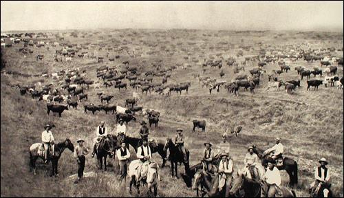Chisholm Trail Growing cities spurred demand for beef Cattle ranchers drove cattle over the Chisholm