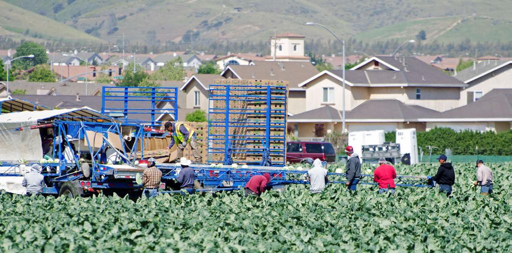 Housing In California, 93 percent of crop workers lived off-farm in 2014, up from 91 percent in