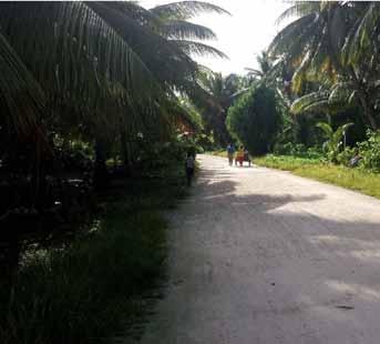 Highlights from the Tuvalu Household Surveys on Climate Change and Human Mobility Climate related environmental hazards are already affecting households and livelihoods in Tuvalu Ninety seven (97)