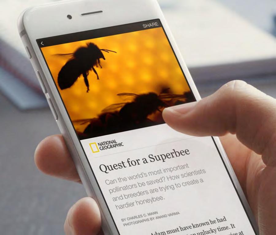 INSTANT ARTICLES Let s talk money 100% of ad revenue news orgs sell