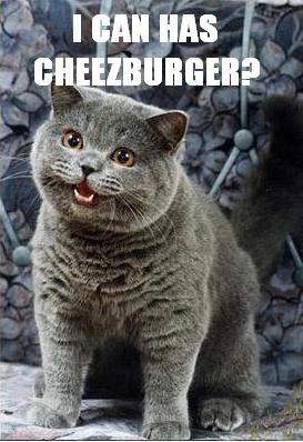 In 2010, I Can Haz Cheezburger.