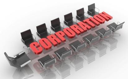 Purpose of the Company The purposes for which the Corporation is formed are to engage in any lawful act or activity