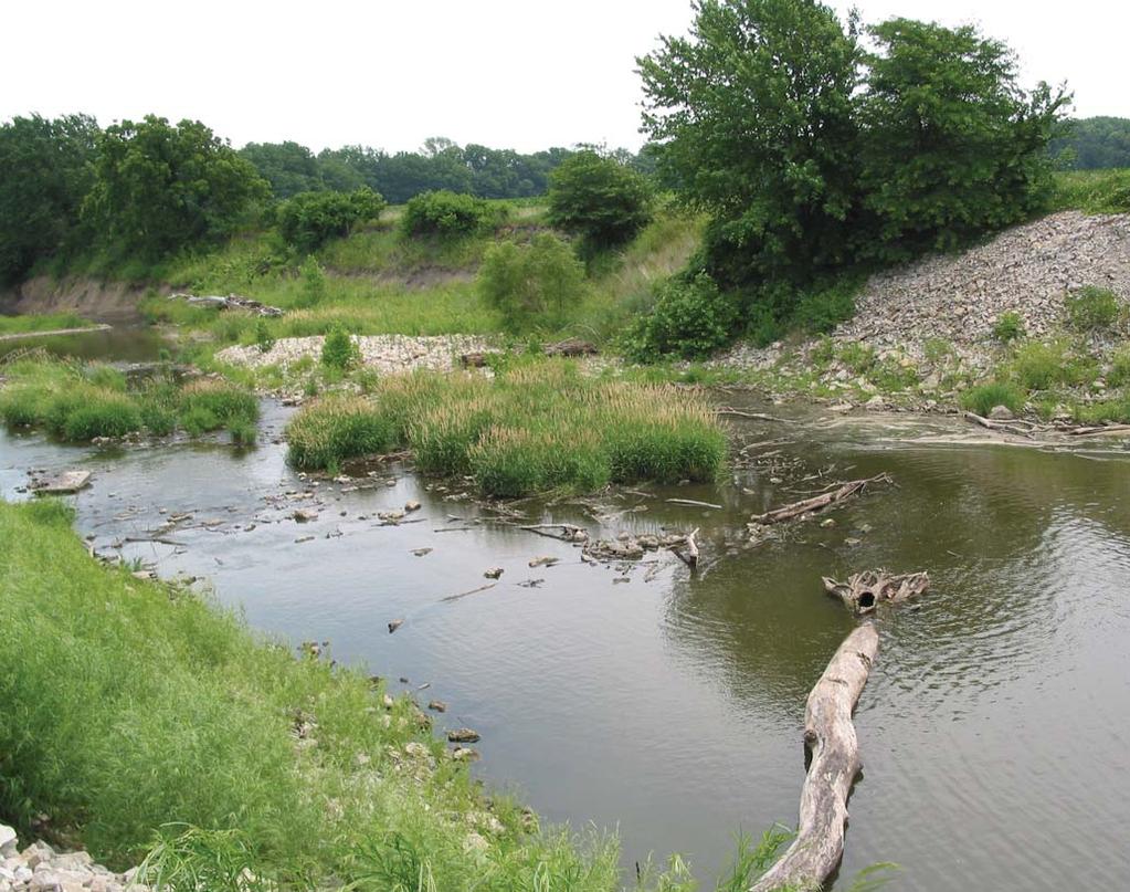 As a direct consequence of the activities of the defendants, the Delaware River and its tributaries, flowing through the Kickapoo Reservation, are choked with so many dams, ponds, terraces, waterways