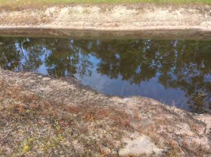 Talavera CDD Waterway Inspection Report 3/14/2019 Site: 130, 220 Comments: Treatment