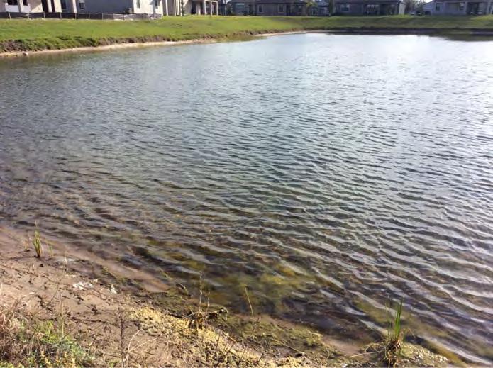 Talavera CDD Waterway Inspection Report 3/14/2019 Site: 160, 370 Comments: Site looks good High water clarity was noted within Pond #160 (top) and clean exposed banks along Pond #370 (right).