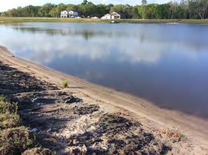Algae is expected to clear within 14-21 days following algaecide application. Overall, the inspected shorelines were observed to be in good condition.