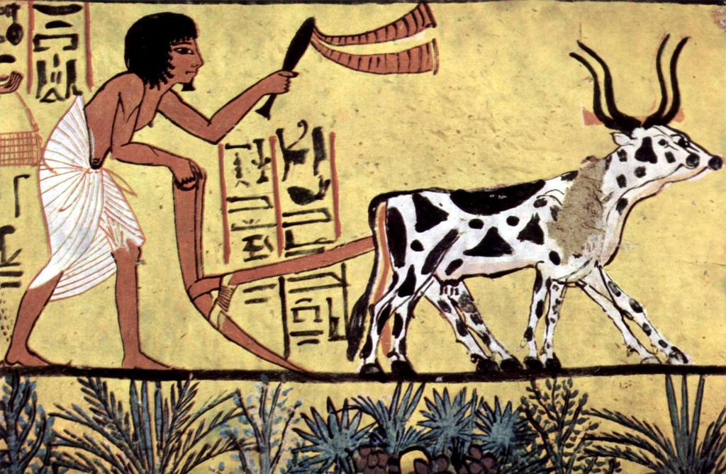 other cultures. 2. The first humans were hunters and gatherers. After 8000 B.C.