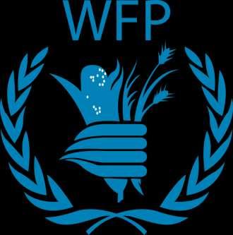 WFP Logistics Cluster Lead Provides food for millions throughout the world Key logistics player in humanitarian